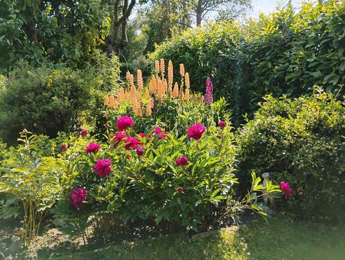 Foto - Grundst&uuml;ck in Bad Doberan