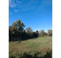 Grundstück zur Verpachtung ideal für Pony - & Tierhaltung - Biederitz