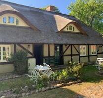 FeWo Rügen gegenüber Hiddensee, ruhig, sauber, günstig, nett - Gingst