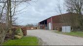 Foto - Einfamilienhaus in Surwold zum Kaufen