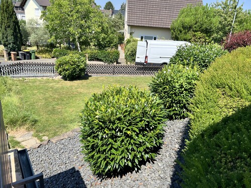 Garten - 