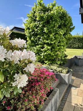 Garten - 