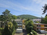 Ausblick Balkon - 2 Zimmer Einfamilienhaus zur Miete in Königswinter