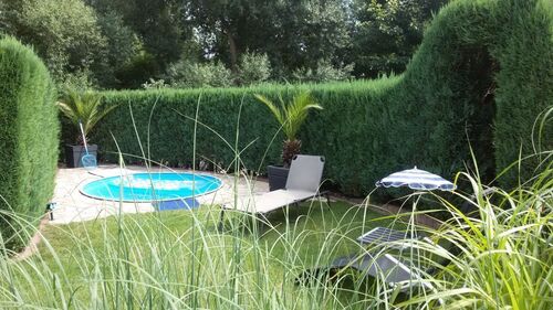 Gartenansicht - 4 Zimmer Einfamilienhaus zur Miete in Königswinter