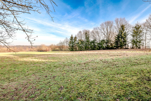 Landwirtschaftliche Fläche - 