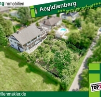 Raumwunder in Ortsrandlage *provisionsfrei* - Bad Honnef