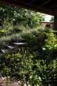 Gartenansicht - 