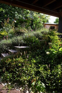 Gartenansicht - 