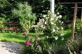 Gartenansicht - 
