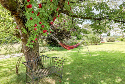 Außenbereich - 4 Zimmer Einfamilienhaus zum Kaufen in Buchholz (Westerwald) / Kölsch-Büllesbach