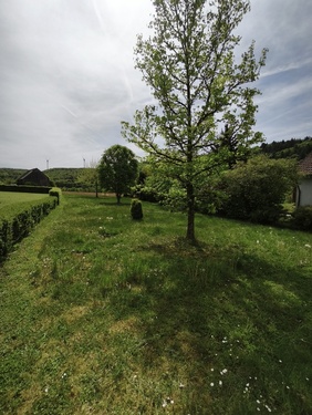 Garten - 