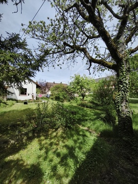 Ansicht Süd-Ost - Einfamilienhaus mit 150,00 m&sup2; in Möckmühl zum Kaufen
