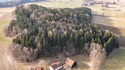 Aussenansicht - Grundstück in Waldmünchen / Untergrafenried zum Kaufen
