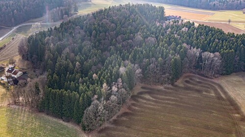 Aussenansicht - 