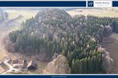 Aussenansicht - Lebensraum Wald: Fichte, Buche und Lärche in Generationen gewachsen