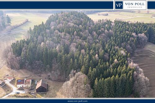 Aussenansicht - Lebensraum Wald: Fichte, Buche und Lärche in Generationen gewachsen