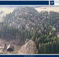 Lebensraum Wald: Fichte, Buche und Lärche in Generationen gewachsen - Waldmünchen / Untergrafenried