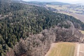 Waldgrundstück - 