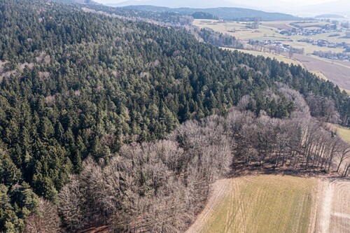 Waldgrundstück - 