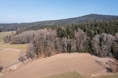 Waldgrundstück - 