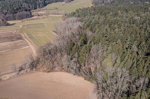 Waldgrundstück - 