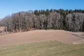 Waldgrundstück - 