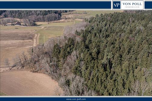 Waldgrundstück - Grundstück zum Kaufen in Chamerau / Bärndorf
