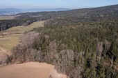 Waldgrundstück - 