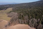 Waldgrundstück - 