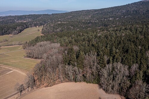 Waldgrundstück - 