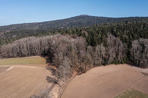 Waldgrundstück - Grundstück in Chamerau / Bärndorf zum Kaufen