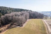 Waldgrundstück - 