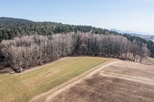 Waldgrundstück - 