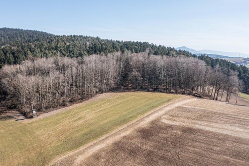 Waldgrundstück - 