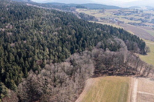 Waldgrundstück - 