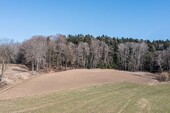 Waldgrundstück - Grundstück in Chamerau / Bärndorf