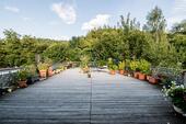 OG_Terrasse_Wohnung_2 (3) - 