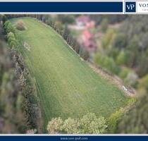 Landwirtschaftliche Nutzfläche mit Erweiterungspotenzial - Zell