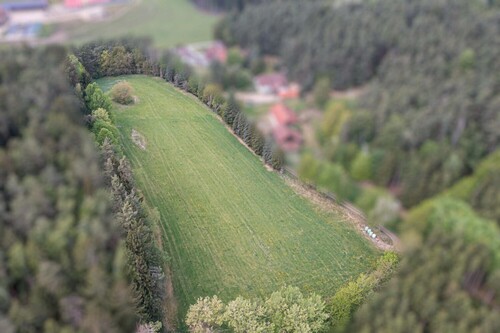 Wiese(1) - Grundstück in Zell