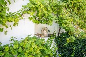 Aussenansicht(24) - 