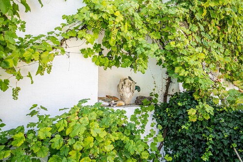 Aussenansicht(24) - 