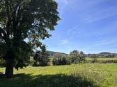 Ausblick auf Regental 1 - 