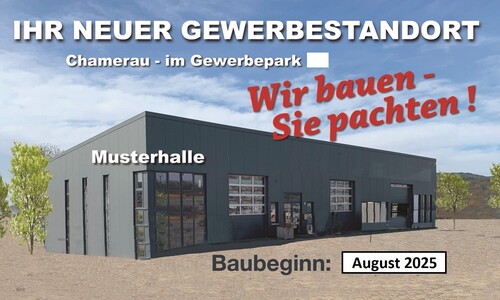 Musterhalle - Gewerbehalle nach Ihren wünschen zu mieten!!!