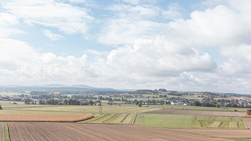 Fernblick - 