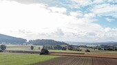 Fernblick - 