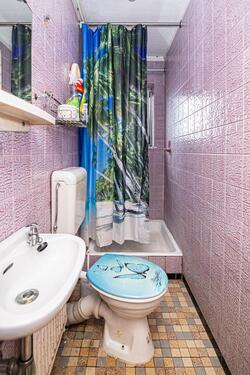 2_OG_WC_mit_Dusche - 