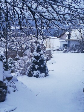 Bilder vom Winter 1 - 3 Zimmer Einfamilienhaus in Arrach