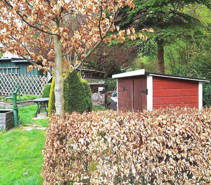 k-20250422_150144.jpg - 