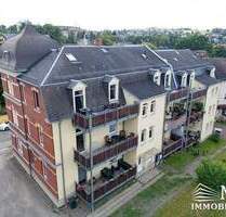 MFH-Komplex saniert, vermietet in Parklage - Wilkau-Haßlau