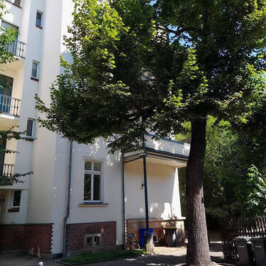 k-20240730_111032.jpg - 2 Zimmer Etagenwohnung in Zwickau